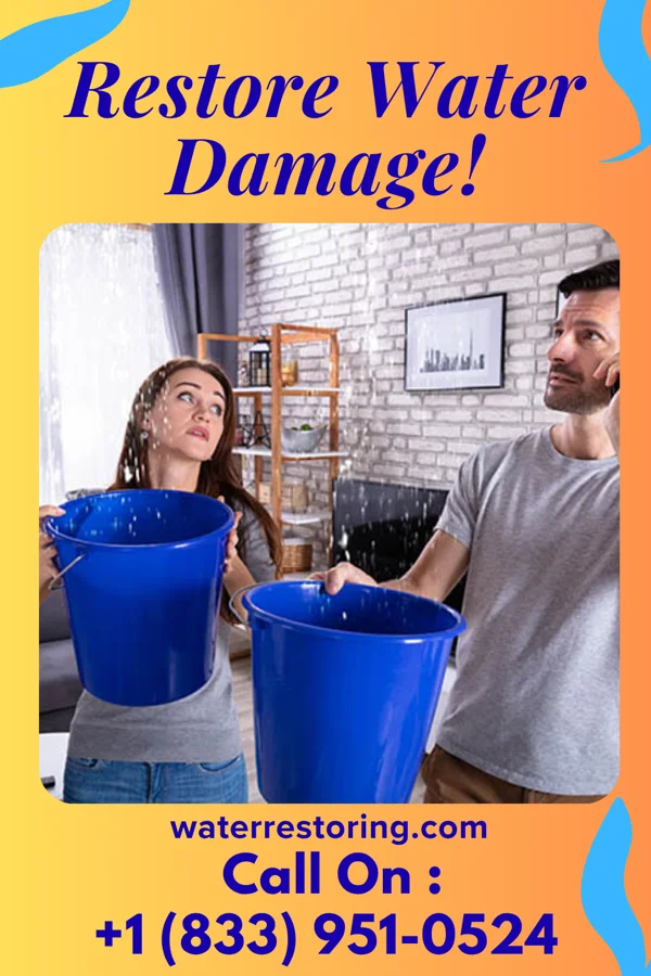 water restoration Priority Water Mitigation Partners Fallston